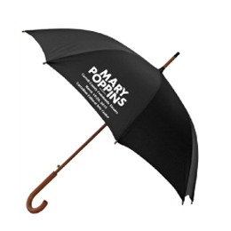 48" Lux Wood Umbrella-1