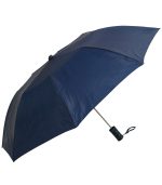 Budget Folding Umbrella - 1