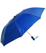 Budget Folding Umbrella - 2