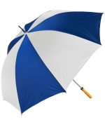 The Booster Umbrella - 1