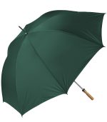 The Booster Umbrella - 2
