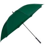 The Eagle Umbrella - 1
