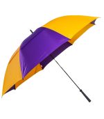 The Eagle Umbrella - 2