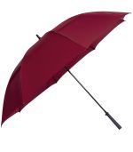 The Eagle Umbrella - 6