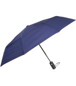 The Lotus Umbrella - 1