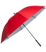 The Raydefyer Umbrella - 2