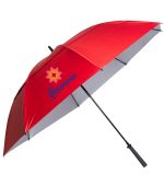 The Raydefyer Umbrella - 6