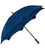 The Shield Umbrella - 2