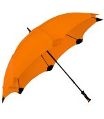 The Shield Umbrella - 3