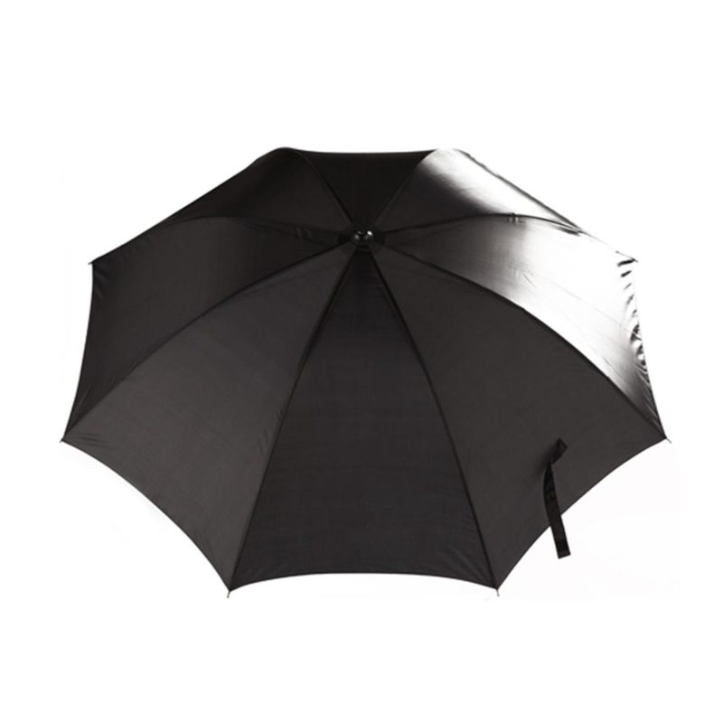 Rain or Shine Light - 1