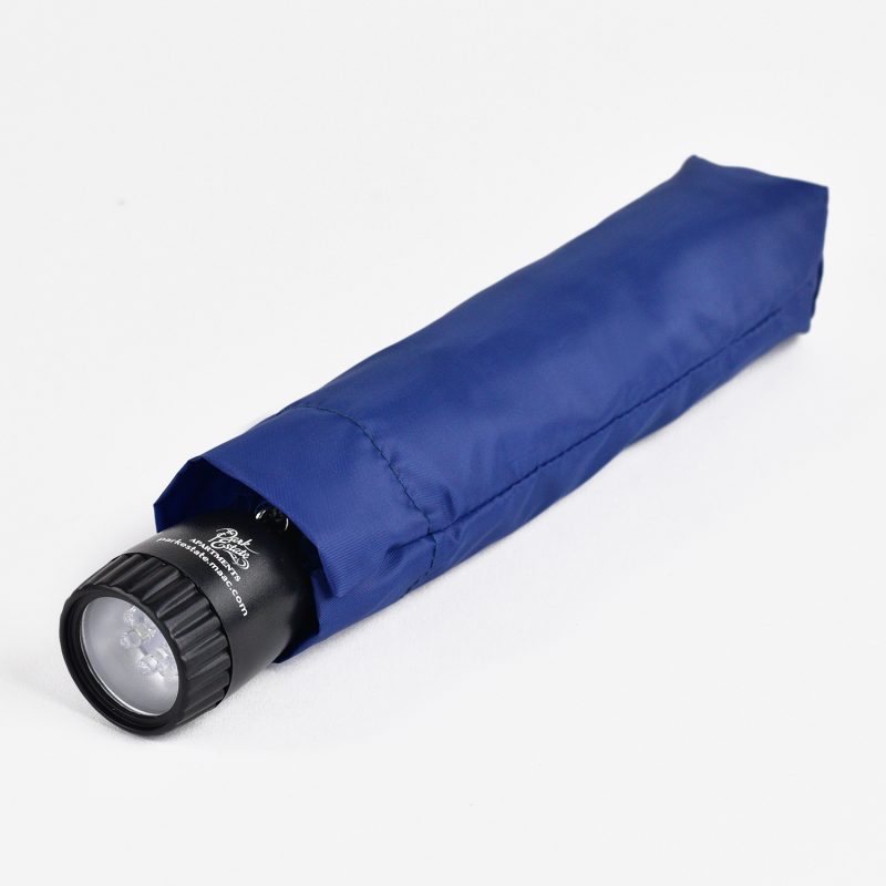 Rain or Shine Light - 3